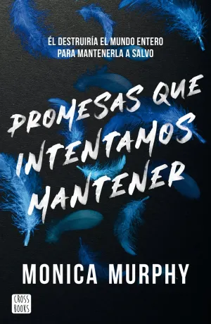 PROMESAS QUE INTENTAMOS MANTENER