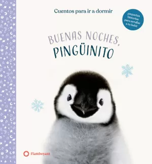BUENAS NOCHES PINGUINO
