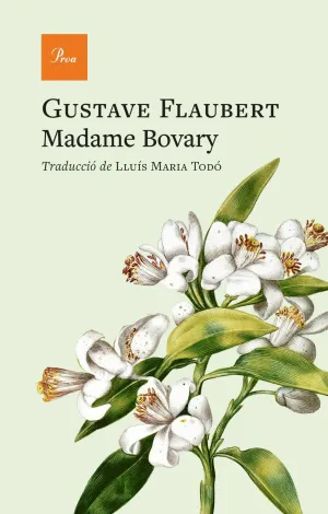 MADAME BOVARY